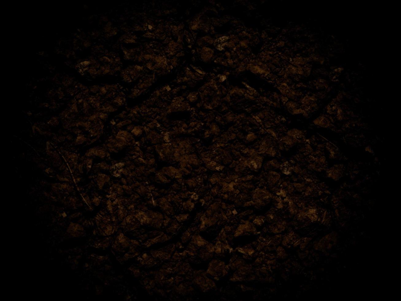 trama di terra scura in giardino foto
