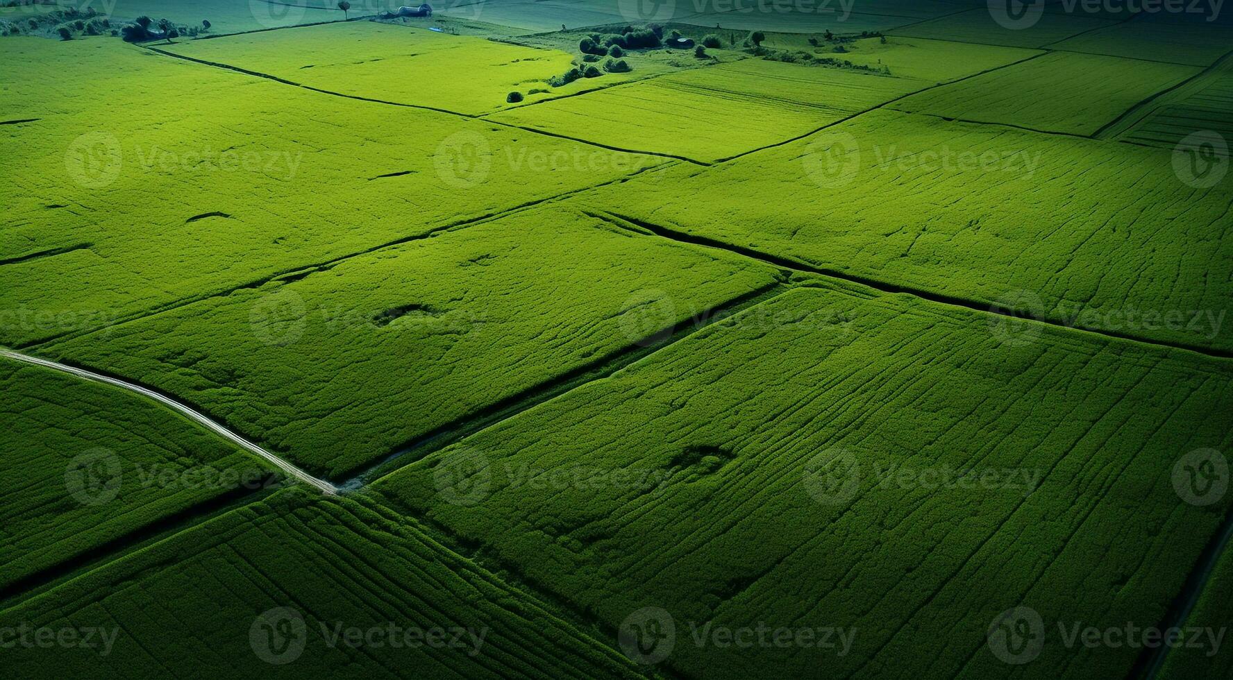 ai generato panoramico aereo Visualizza di i campi e erba foto