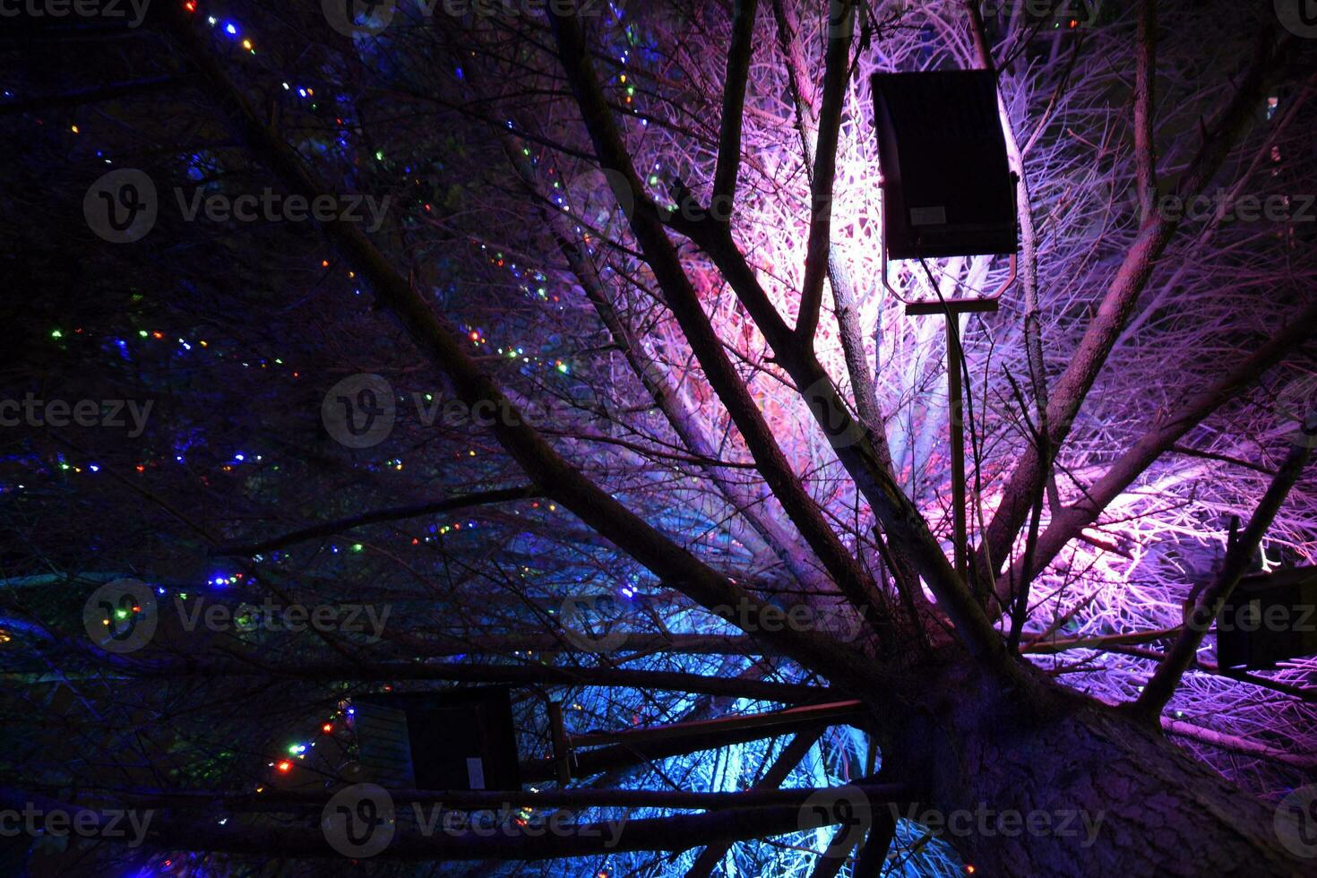 illuminazione il Natale albero dentro. notte Natale giocattoli. foto