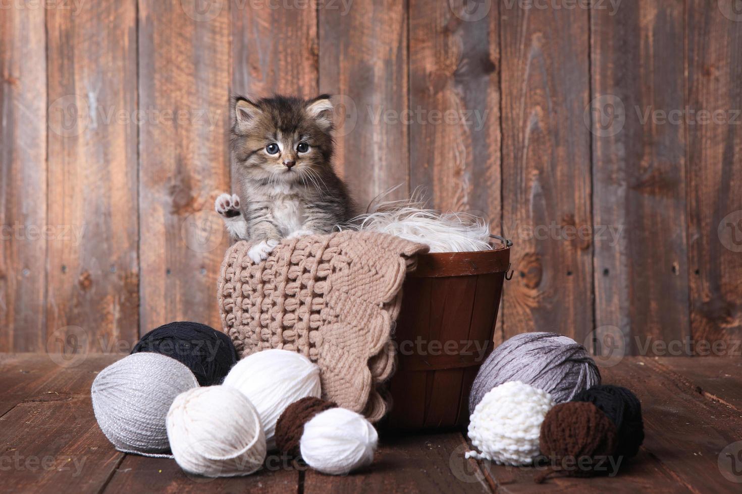 simpatico gattino con gomitoli di lana foto