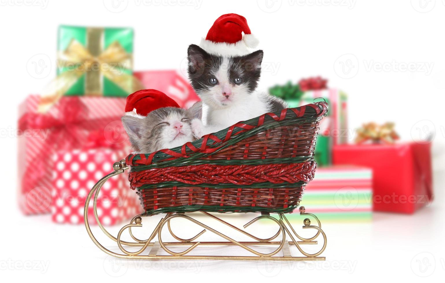 adorabili gattini circondati da regali di natale in slitta foto