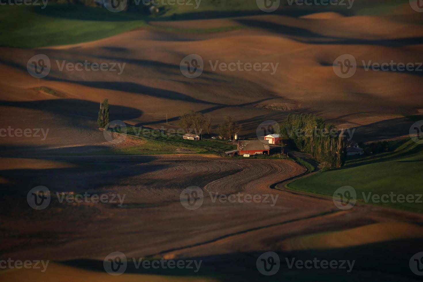 palouse washington da steptoe butte foto