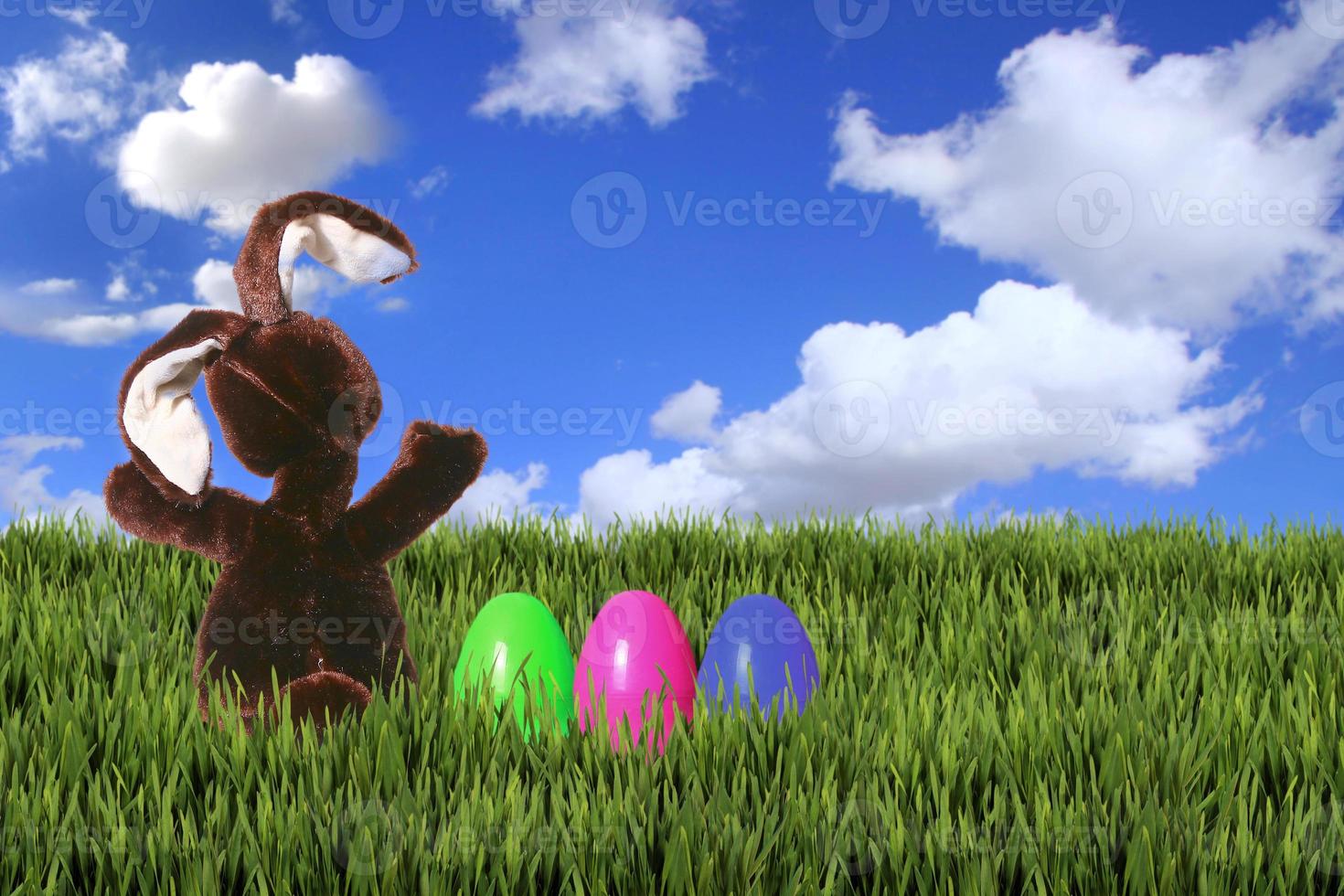 coniglietto di pasqua nell'erba verde foto