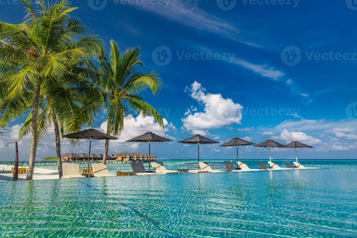 sbalorditivo paesaggio, nuoto piscina blu cielo con nuvole. tropicale ricorrere Hotel nel Maldive. fantastico rilassare e tranquillo, calmo vibrazioni, sedie, lettini sotto ombrello e palma le foglie. lusso viaggio vacanza foto