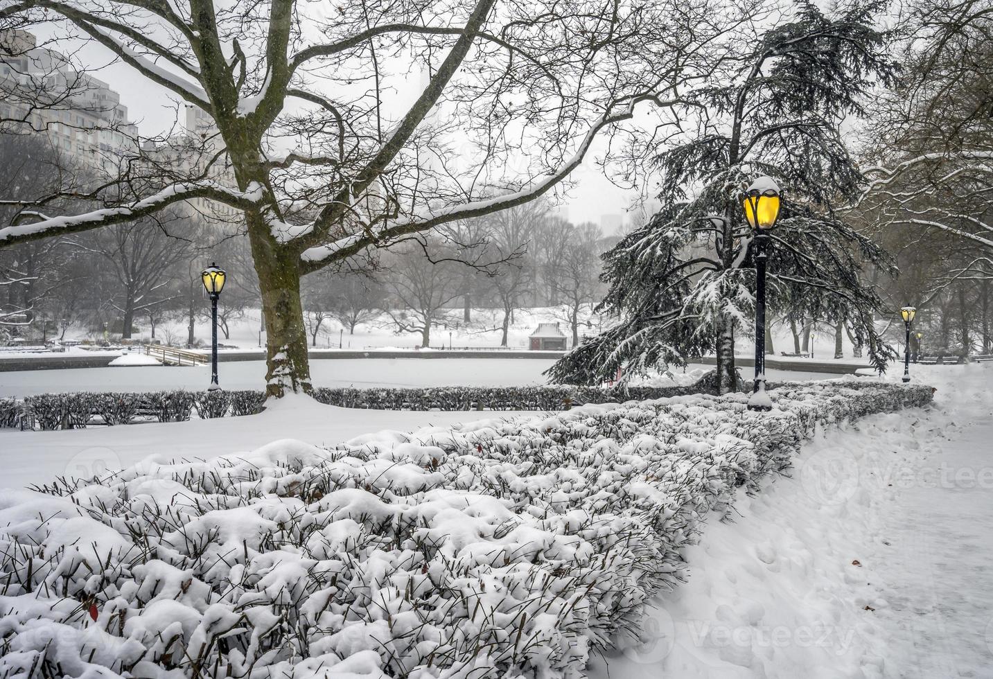 central park in inverno dopo la tempesta di neve al mattino presto foto