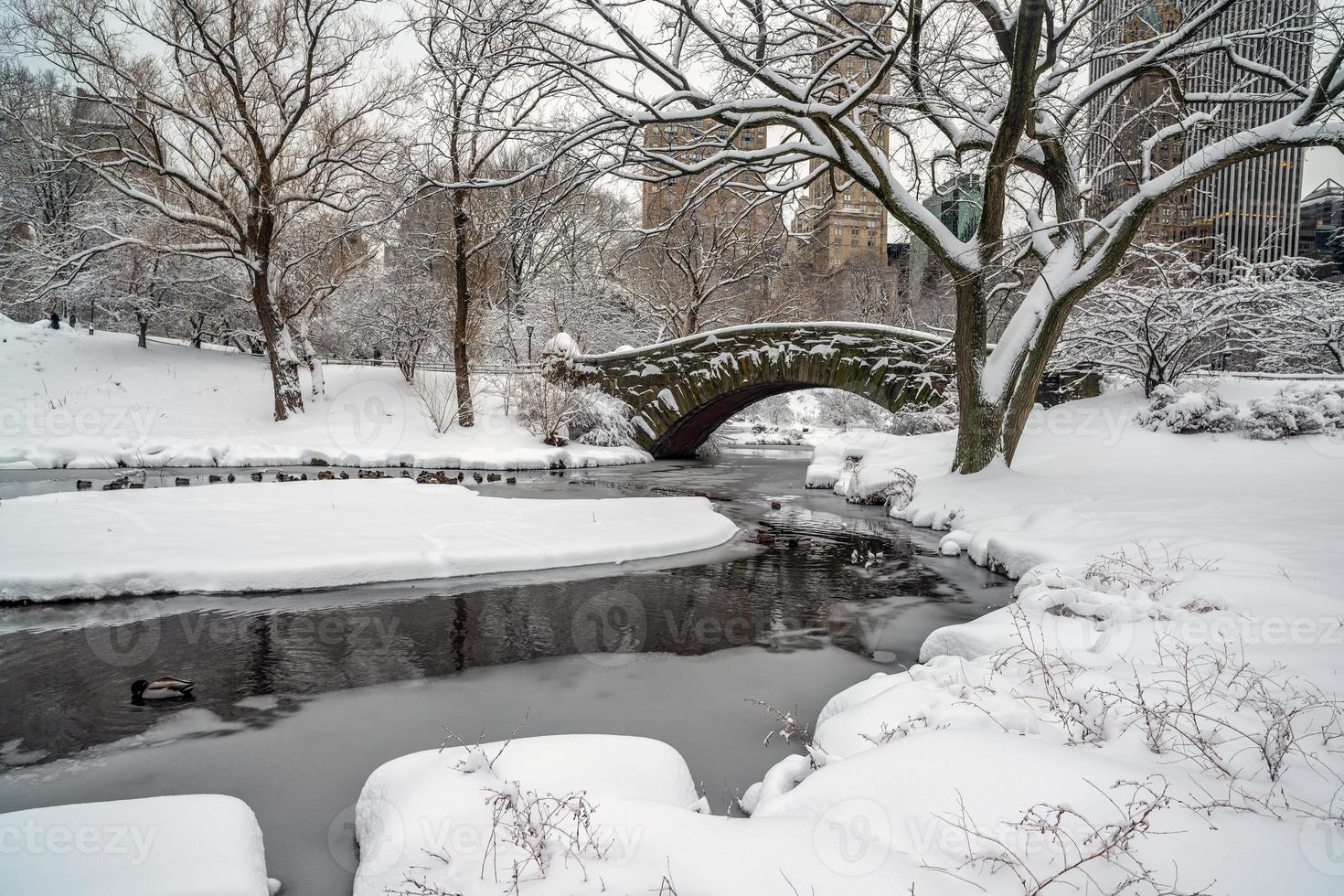 ponte gapstow nel parco centrale dopo la tempesta di neve foto