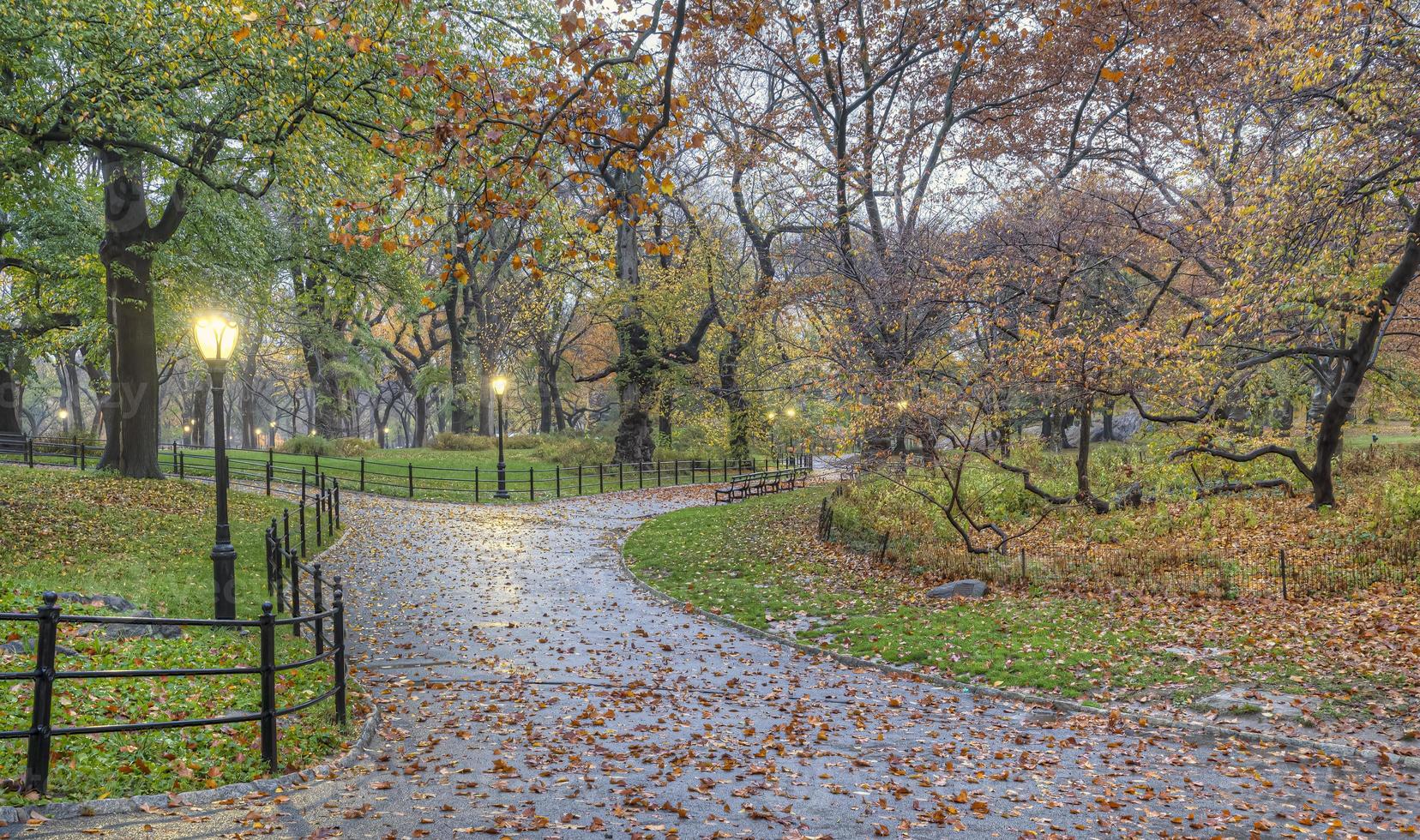 autunno a central park all'inizio dell'autunno foto