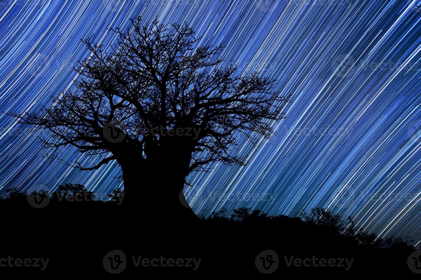 tracce stellari via lattea in sudafrica cielo notturno foto