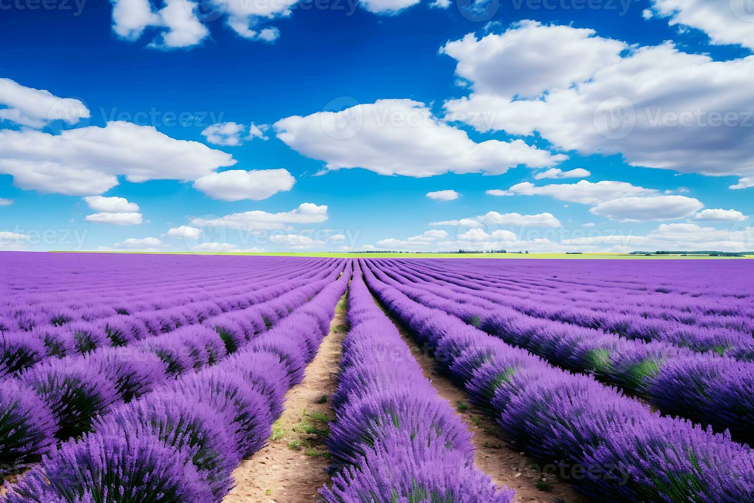 ai generato vivido viola lavanda righe sotto blu cielo foto