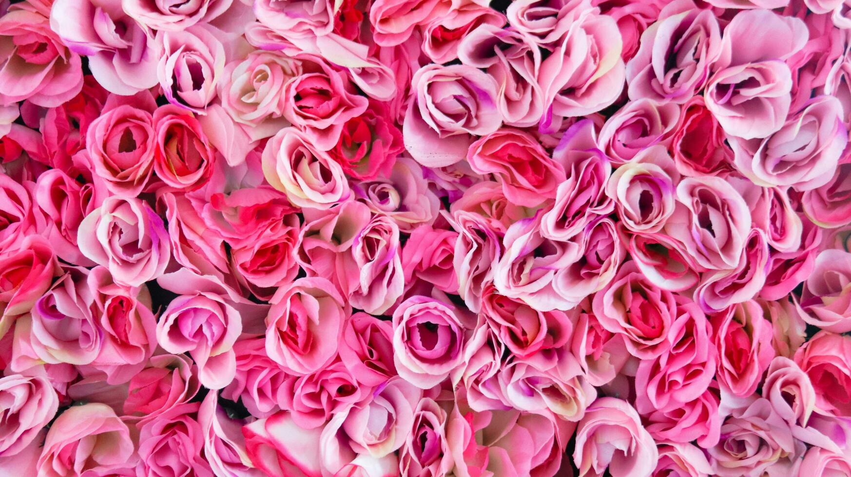 vicino su Visualizza di rosa artificiale rosa fiori foto