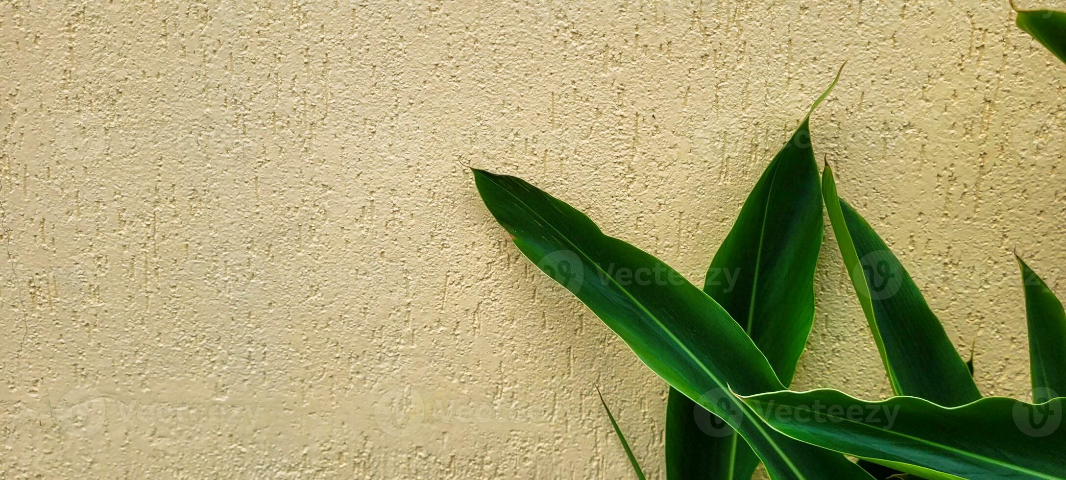 ottenere il tropicale fascino di Questo Immagine adesso un' giallo sfondo con verde le foglie e struttura, Perfetto per evidenziare il tuo creatività con freschezza e eleganza. brillare con stile foto