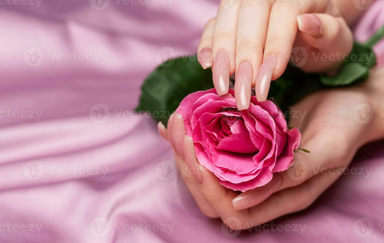 femmina mani con rosa chiodo design hold rosa Rose foto