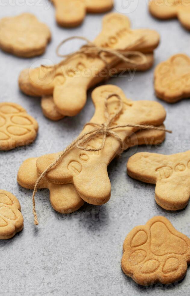 fatti in casa cane biscotti foto