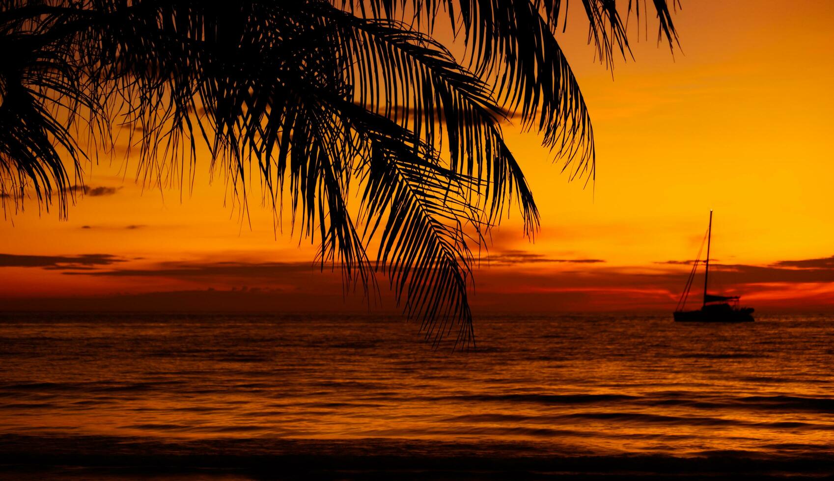 sagome di palma alberi e sorprendente nuvoloso cielo su tramonto a tropicale spiaggia con cielo sfondo per viaggio e vacanza foto