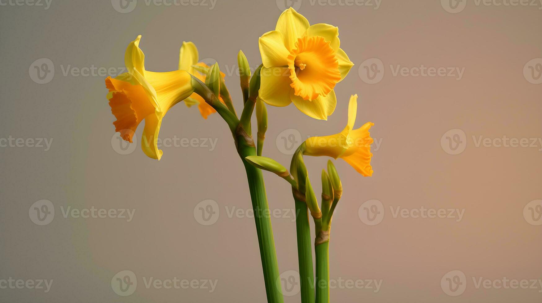 ai generato minimalista composizione con giallo narcisi. foto