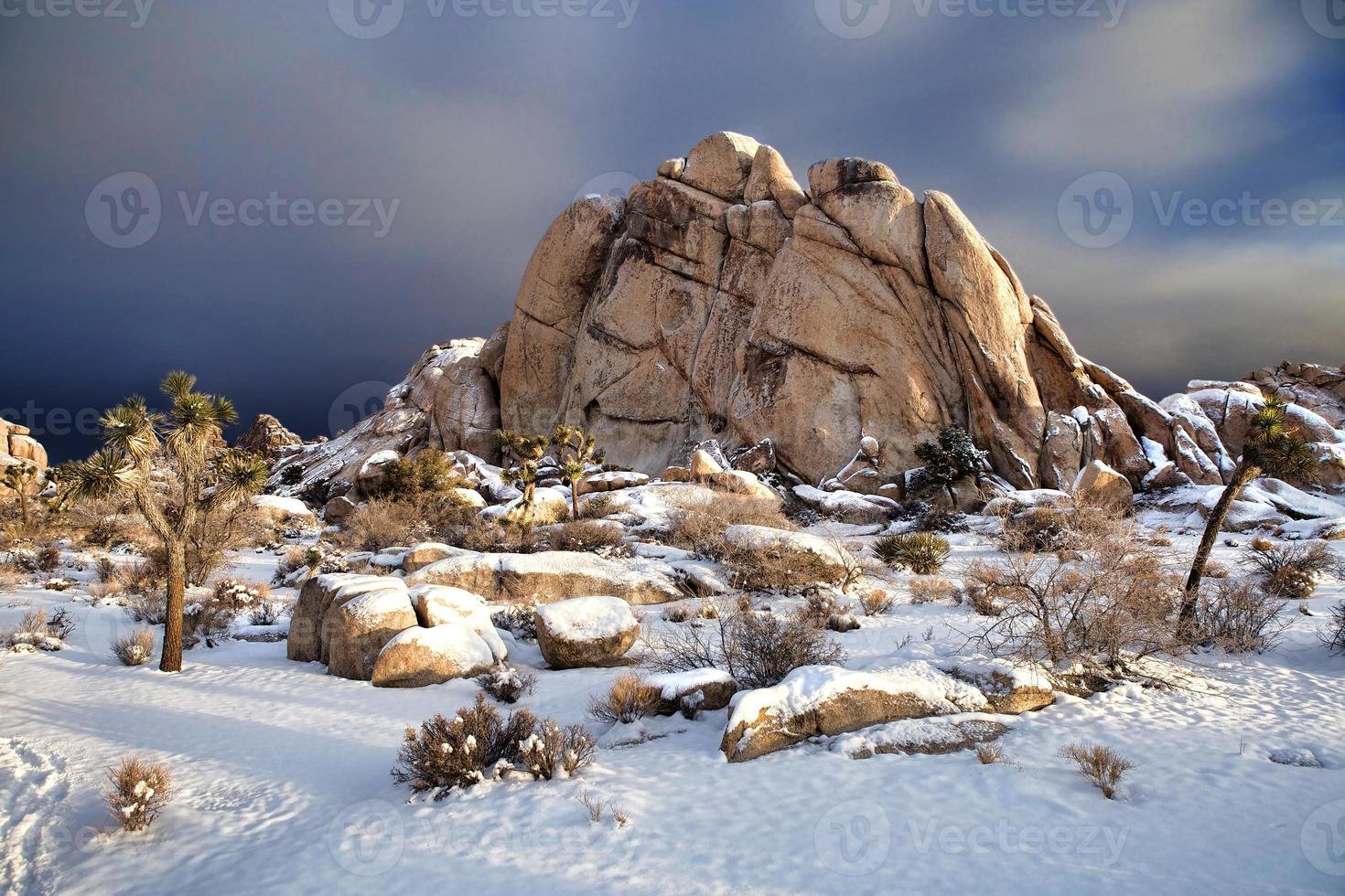 paesaggio innevato nel parco nazionale di Joshua Tree foto