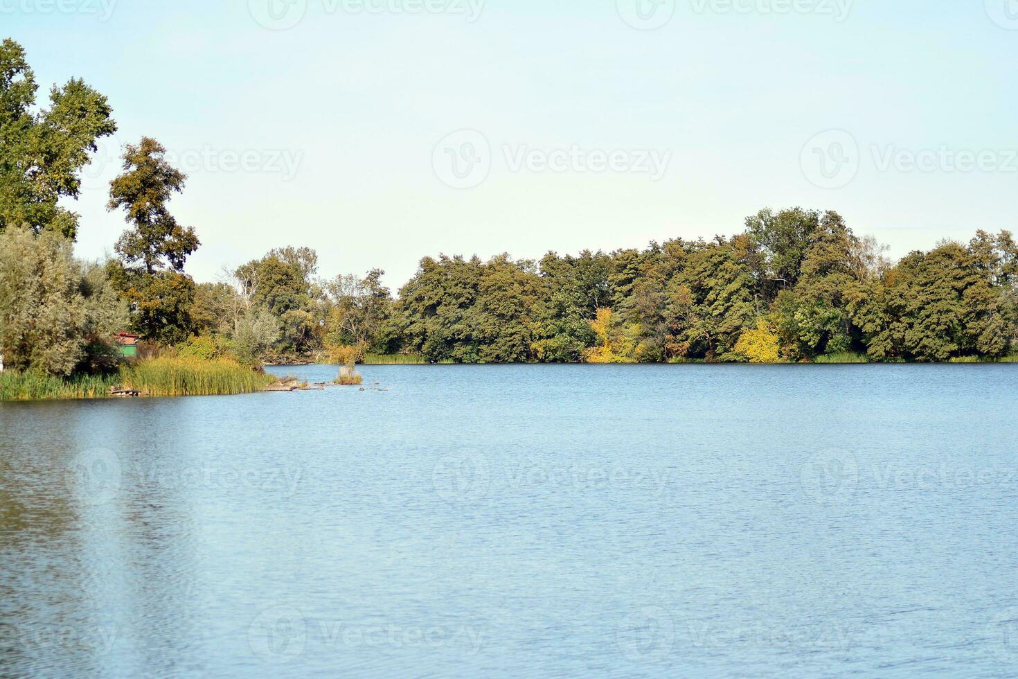 lago nel parco foto