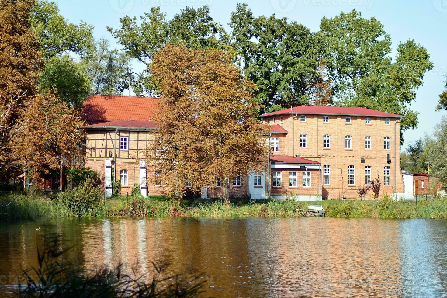 lago nel parco foto