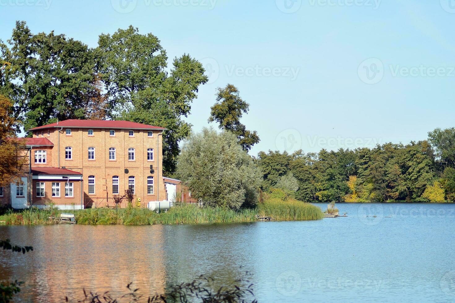 lago nel parco foto