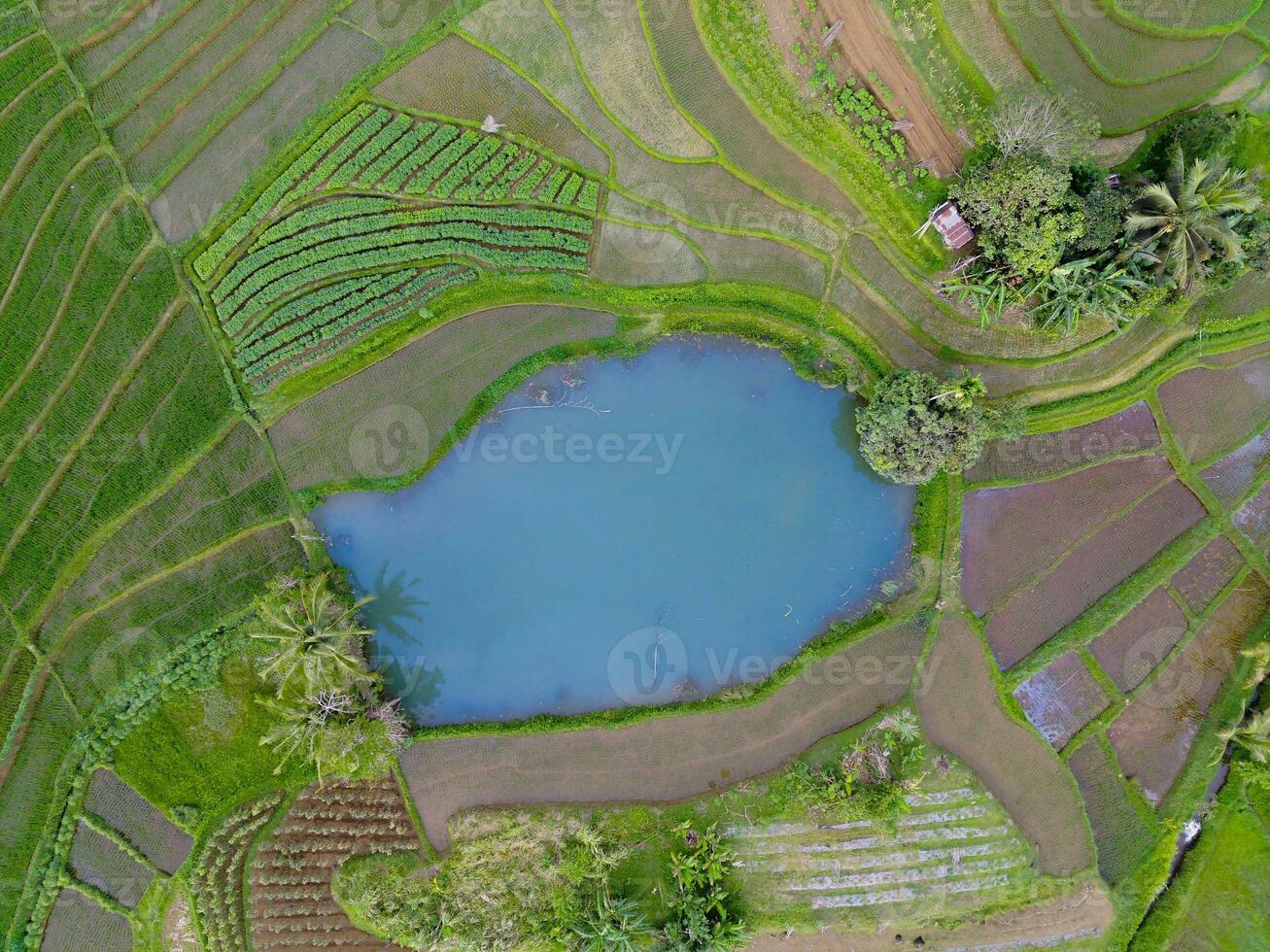 il bellezza di il mattina panorama con Alba nel Indonesia villaggio foto