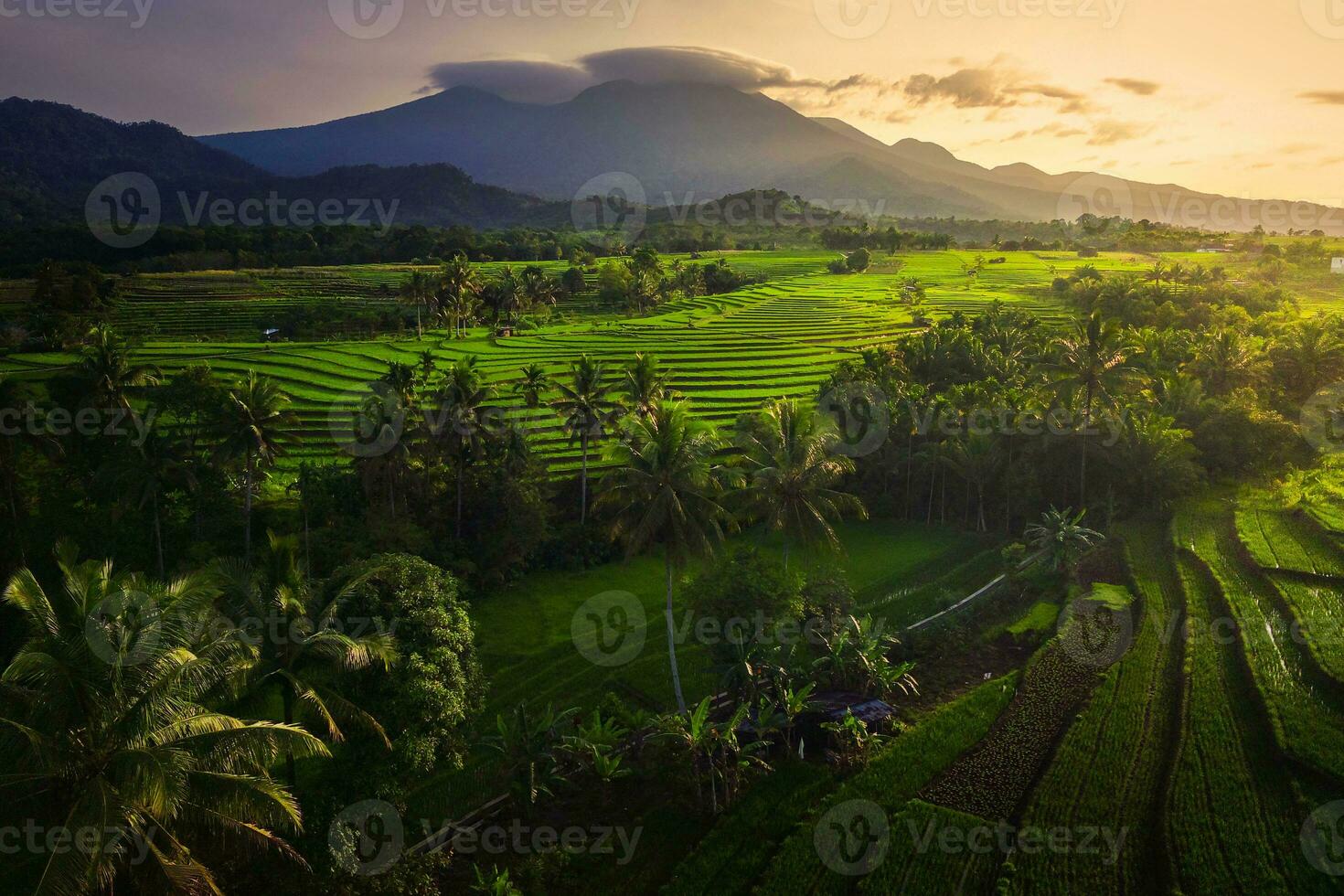 il bellezza di il mattina panorama con Alba nel Indonesia villaggio foto