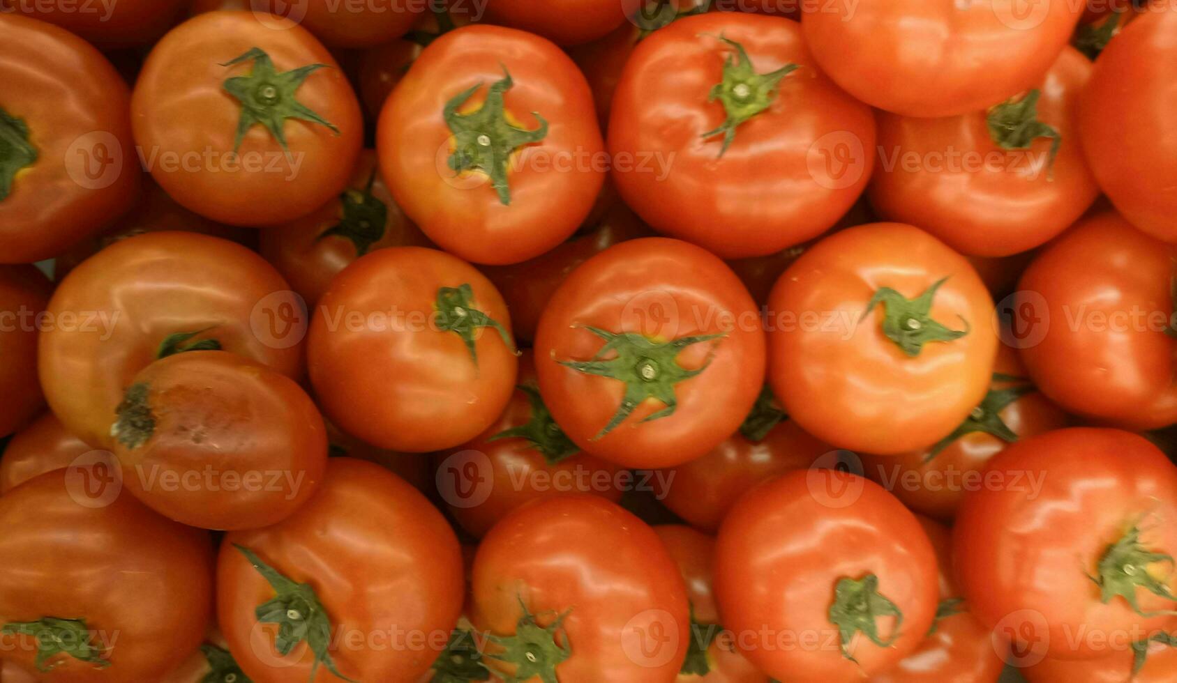 delizioso rosso pomodori nel estate vassoio mercato agricoltura azienda agricola pieno di organico. fresco pomodori, esso può essere Usato come sfondo foto