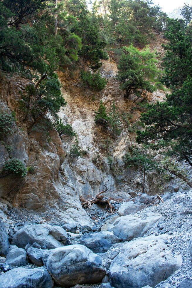 visualizzazioni nel il montagne lungo il sentiero attraverso il gola soleggiato giorno. Visualizza di gola, un' gola nel il montagne di Grecia, dire bugie su il versante di montagne, uno di il più profondo gole nel il mondo. foto