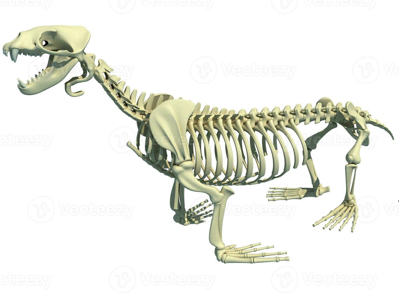mare Leone scheletro 3d interpretazione su bianca sfondo foto
