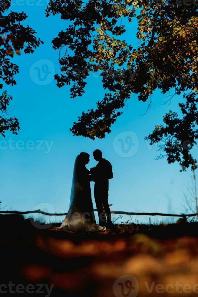 sposa sposo in piedi nel il parco e teneramente guardare a ogni altro foto