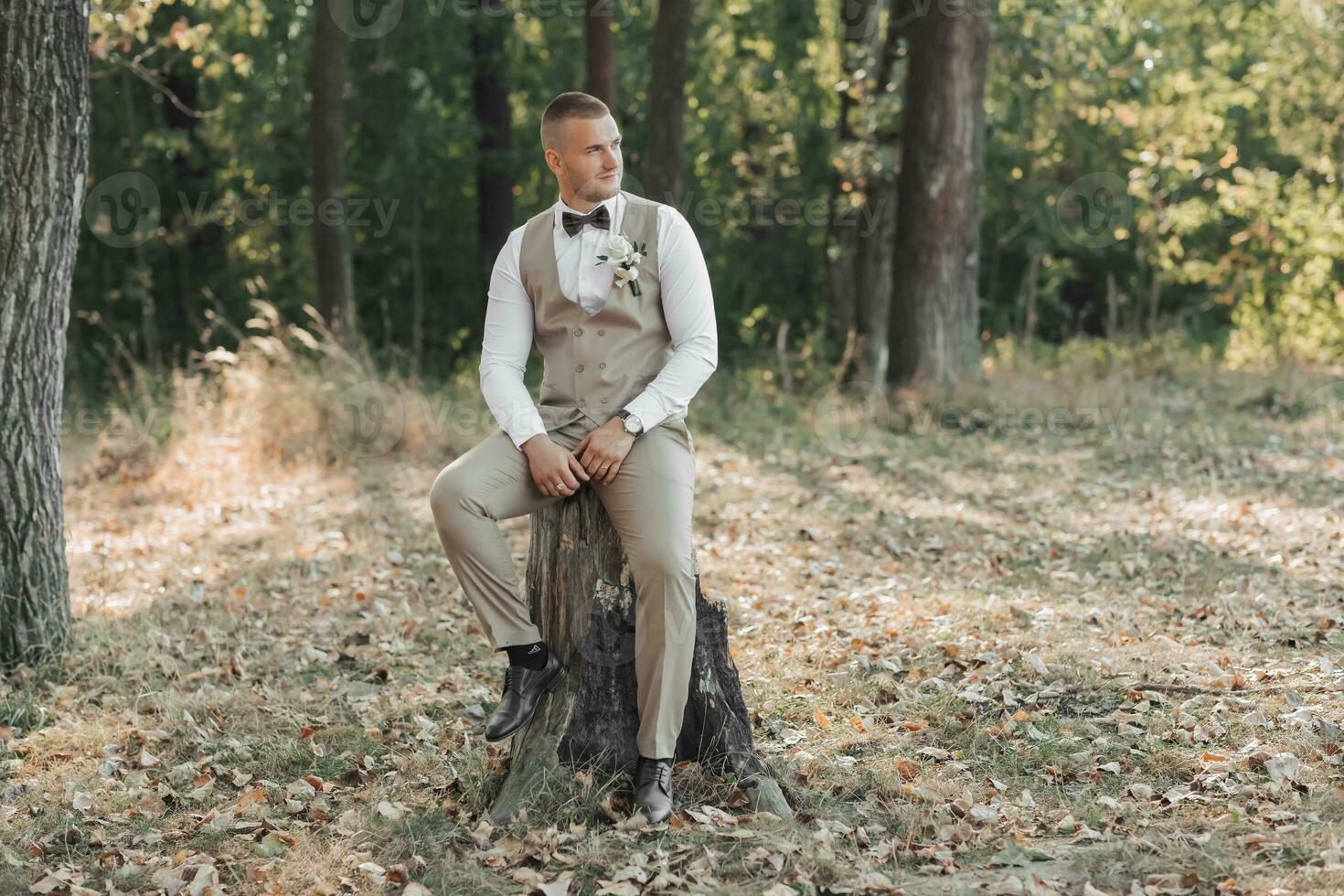 ritratto di il sposo nel il foresta. il sposo nel un' leggero grigio veste è seduta su un' di legno In piedi. elegante, elegante sposo in posa con Marrone arco legare, guarda, veste e bianca camicia. foto