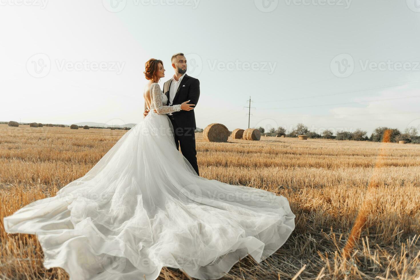 il sposa e sposo siamo in piedi nel il campo, e dietro a loro siamo grande covoni di fieno. il sposa sta con sua le spalle trasformato per il telecamera. lungo elegante vestire. elegante sposo. estate foto