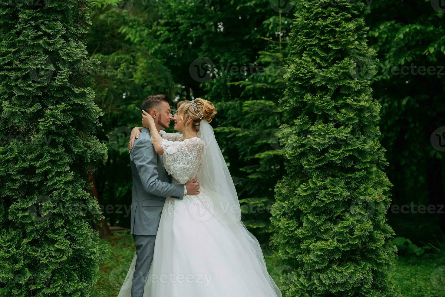 ritratto di il sposa e sposo in piedi contro il sfondo di verde alberi, abbracciare e baciare. elegante sposo. moda e stile. bellissimo sposa foto