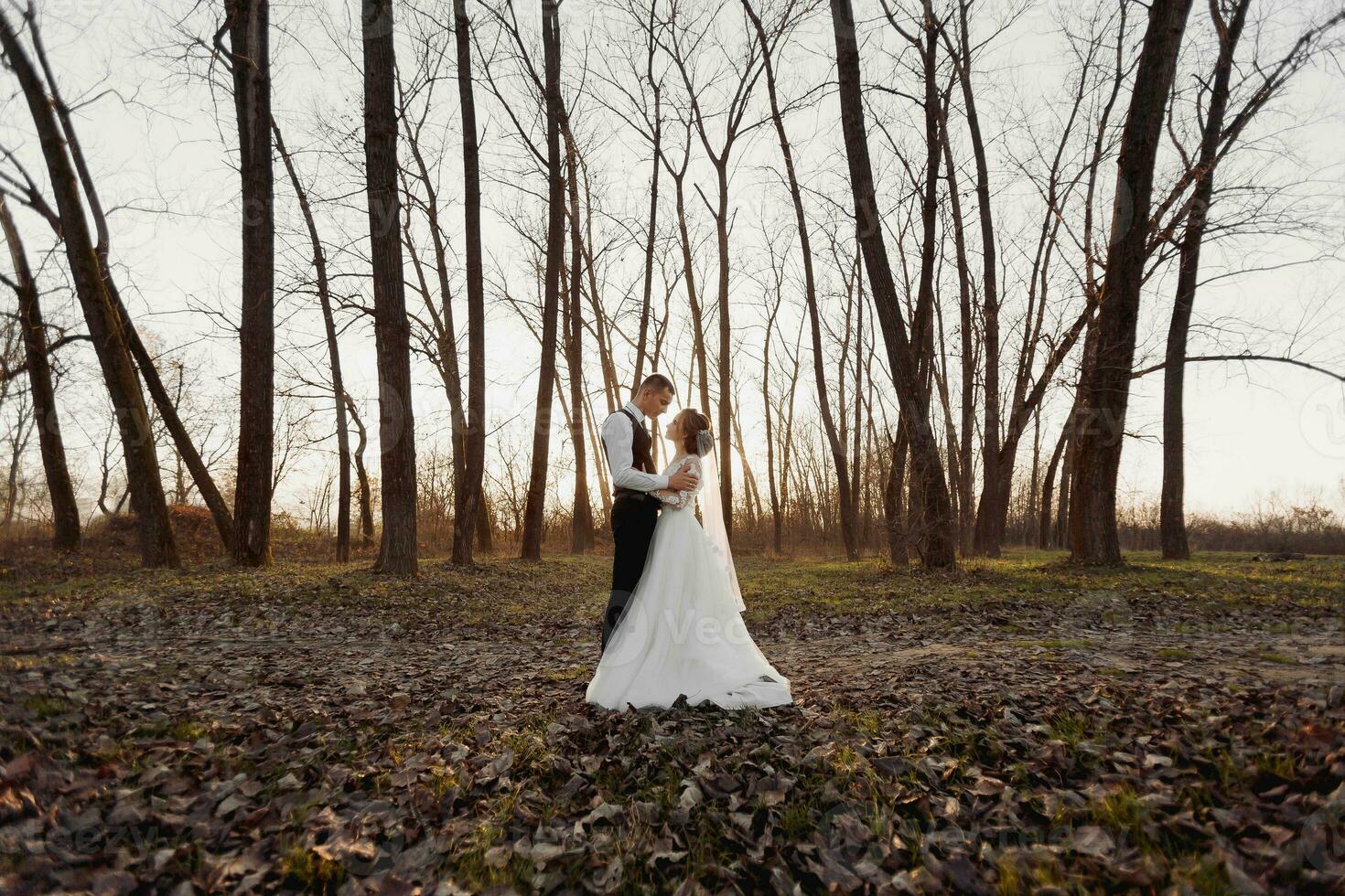 nozze foto. il sposa e sposo siamo a piedi nel il foresta. il sposo abbracci il le spalle di il suo Amati. lungo nozze vestire. un' coppia nel amore tra alto alberi. autunno luce del sole. foto