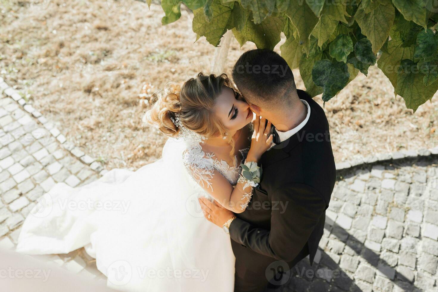 nozze ritratto. il sposo nel un' nero completo da uomo e il bionda sposa nel un' bianca vestito con un' treno siamo abbracciare sotto un' albero. Visualizza a partire dal sopra. foto sessione nel natura. sole raggi nel il foto