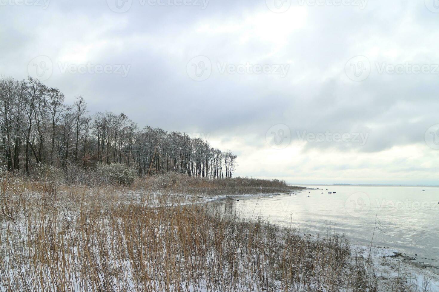 lago costa, bellissimo inverno paesaggio, alberi spolverato con bianca neve, Basso nuvole foto