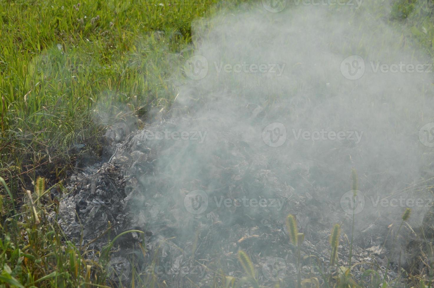 un falò con piante secche sta bruciando su un terreno con fuoco e fumo foto