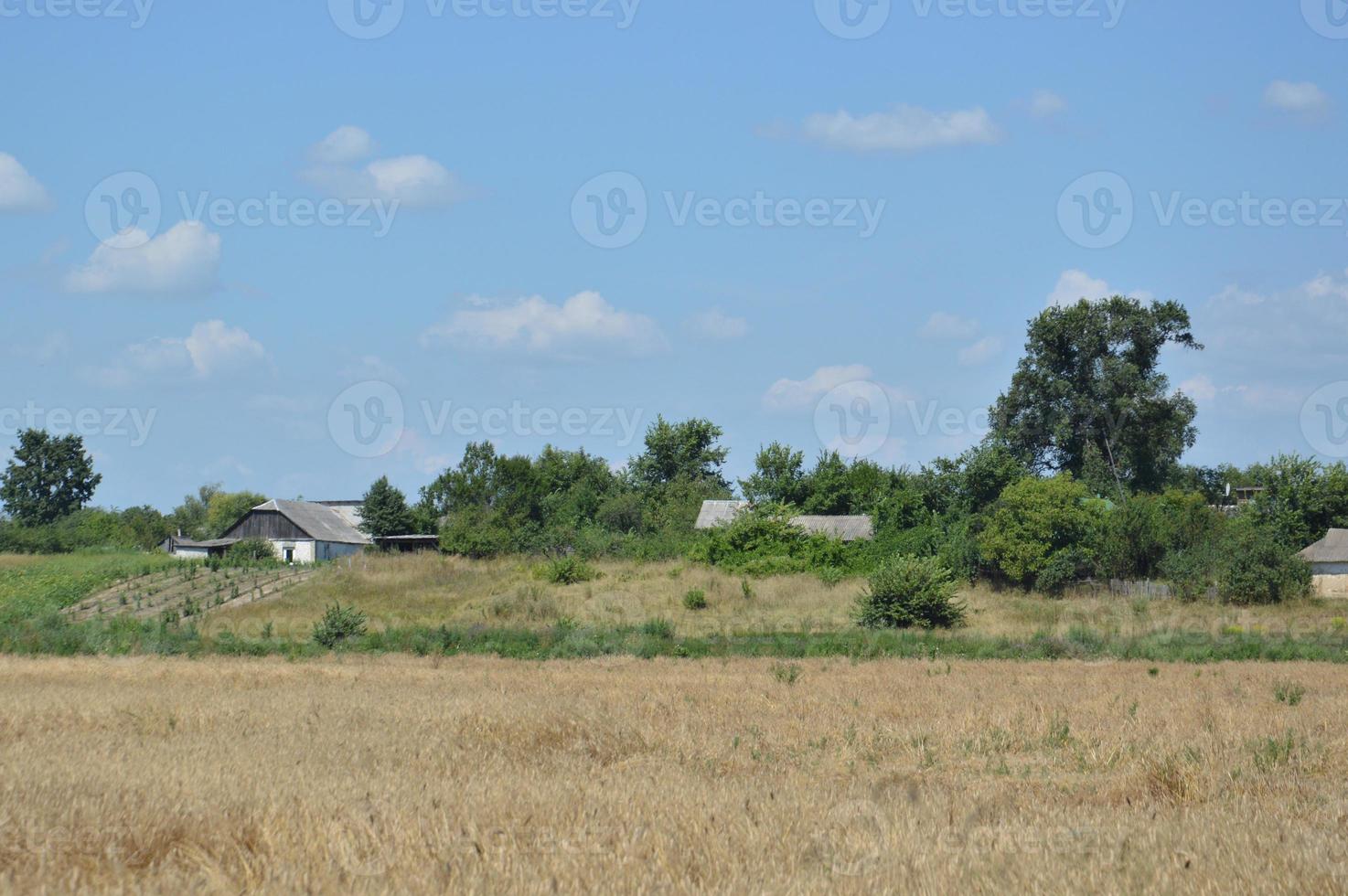 panorama di campi paesaggistici e strade del villaggio foto