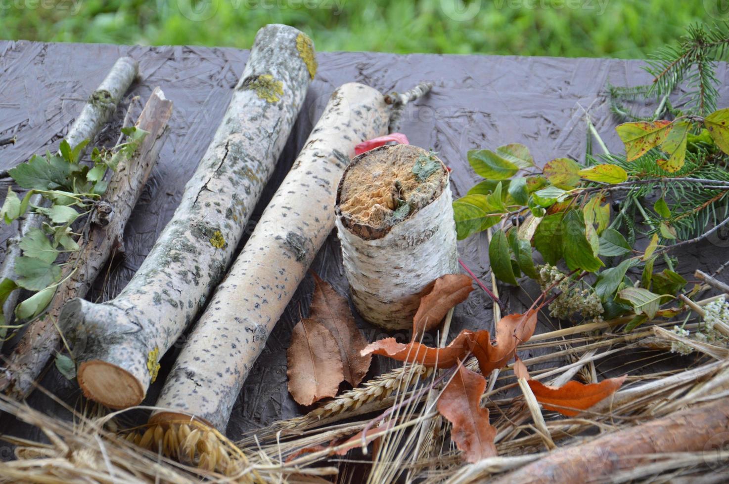 natura morta di frutti di bosco e piante foto