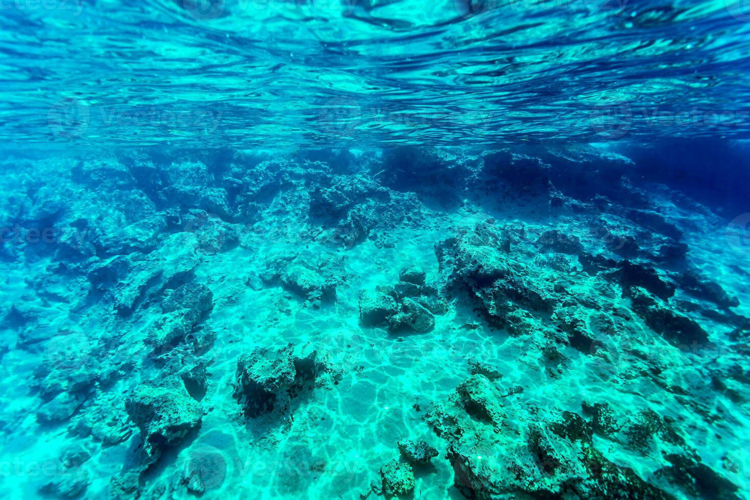 bellissimo fondale marino sfondo foto