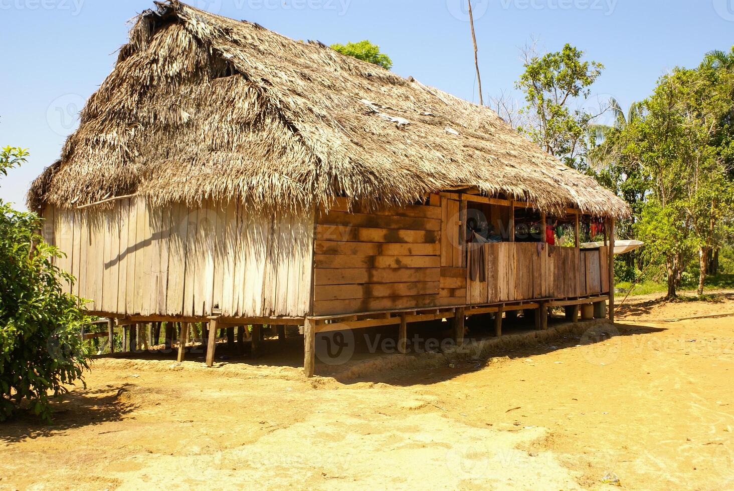 Perù, peruviano Amazonas paesaggio. il foto presente tipico indiano tribù insediamento nel amazon