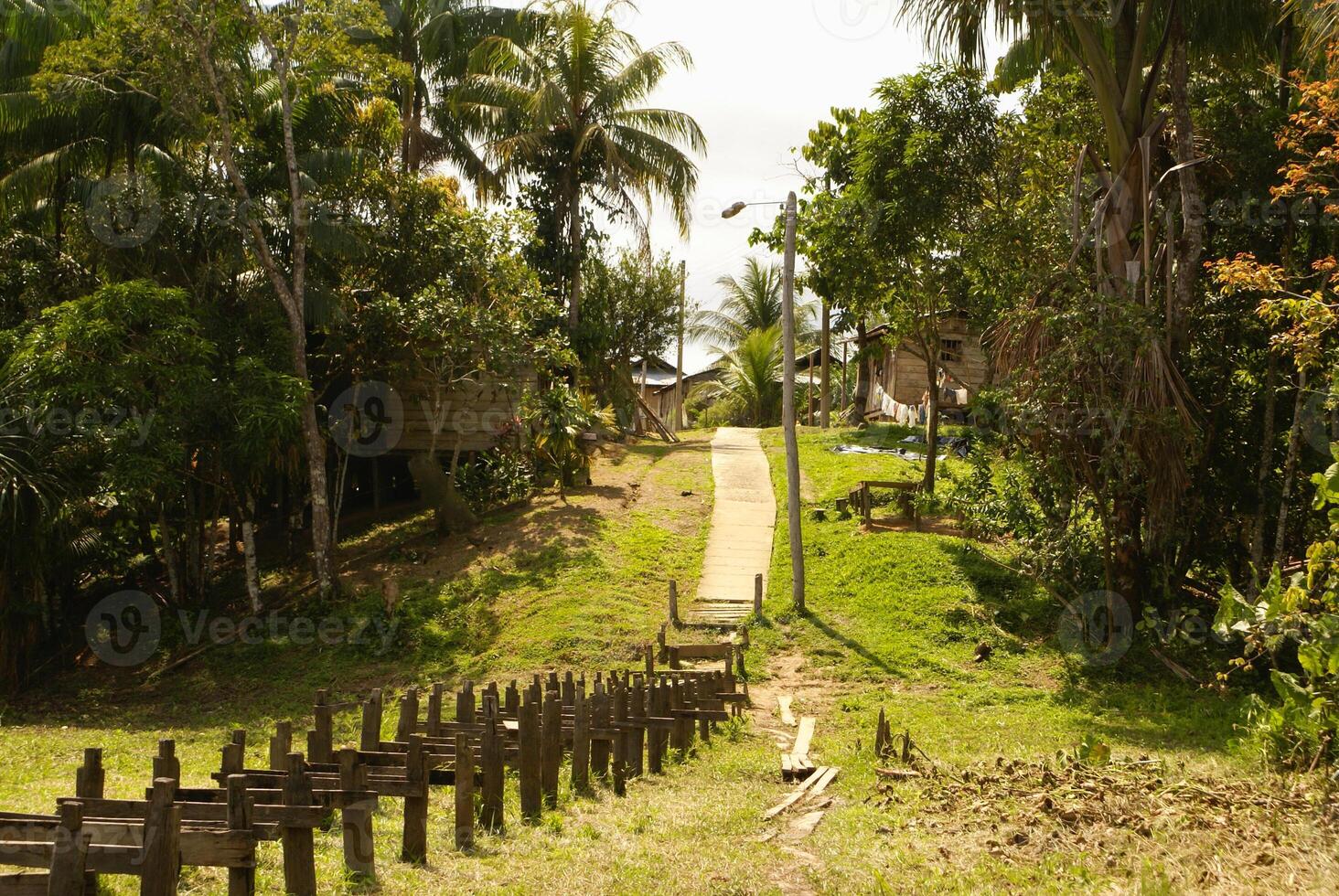 Perù, peruviano Amazonas paesaggio. il foto presente tipico indiano tribù insediamento nel il amazon