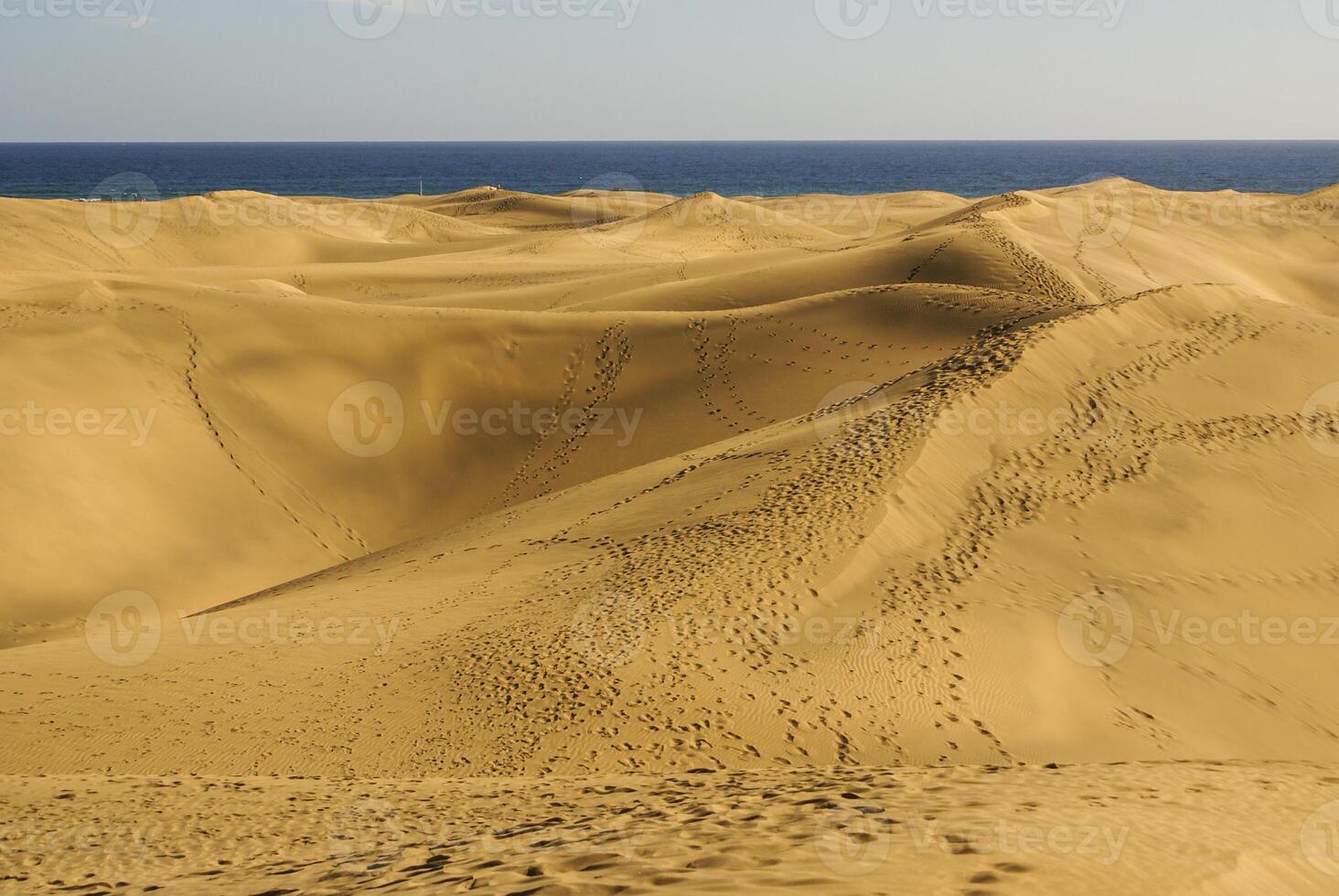 las dunas de maspalomas a nonna canaria foto