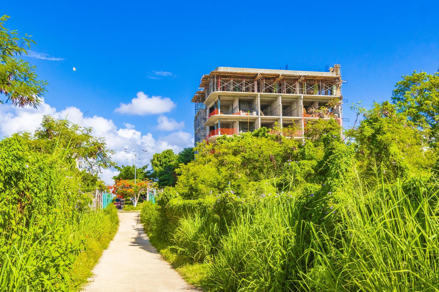 i cantieri distruggono la natura tropicale playa del carmen messico foto