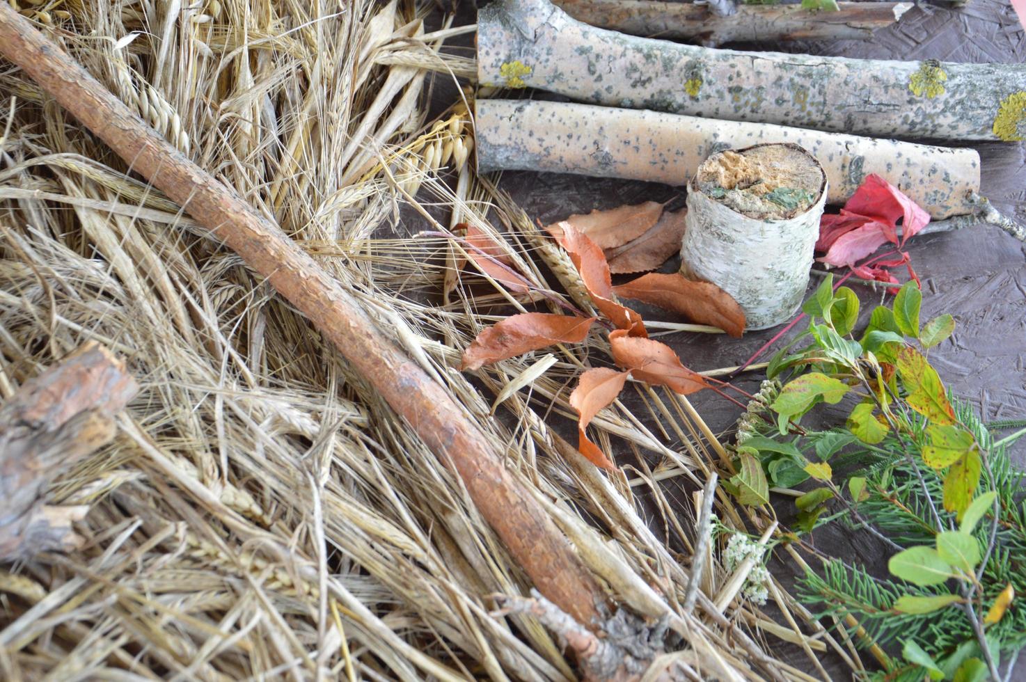 natura morta di frutti di bosco e piante foto