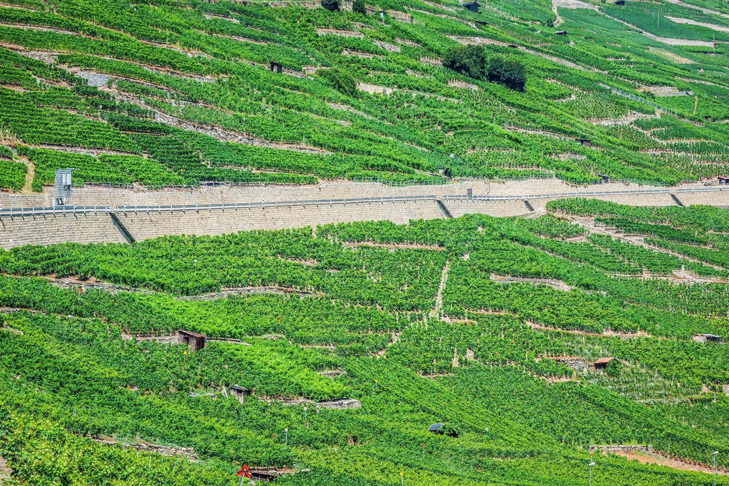 il svizzero alpino cittadina di martigno circondato di vigneti e montagne foto