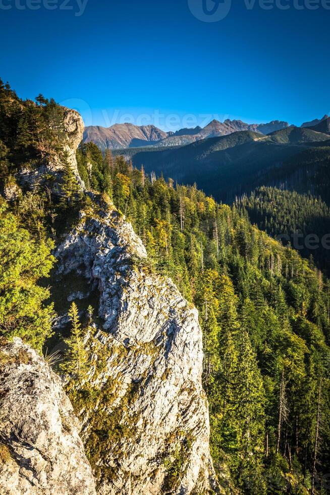 vista dei monti tatra dal sentiero escursionistico. Polonia. Europa. foto