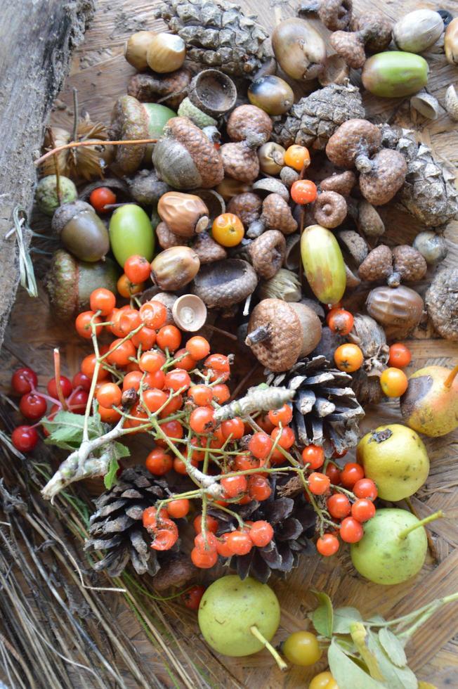 natura morta di frutti di bosco e piante foto