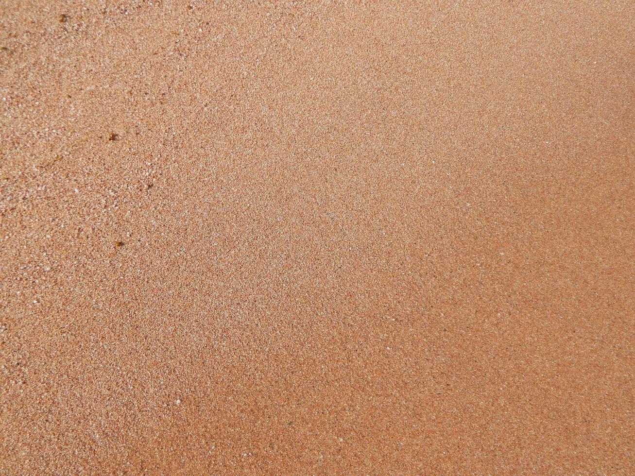 struttura di pietra sul mar rosso dell'egitto foto