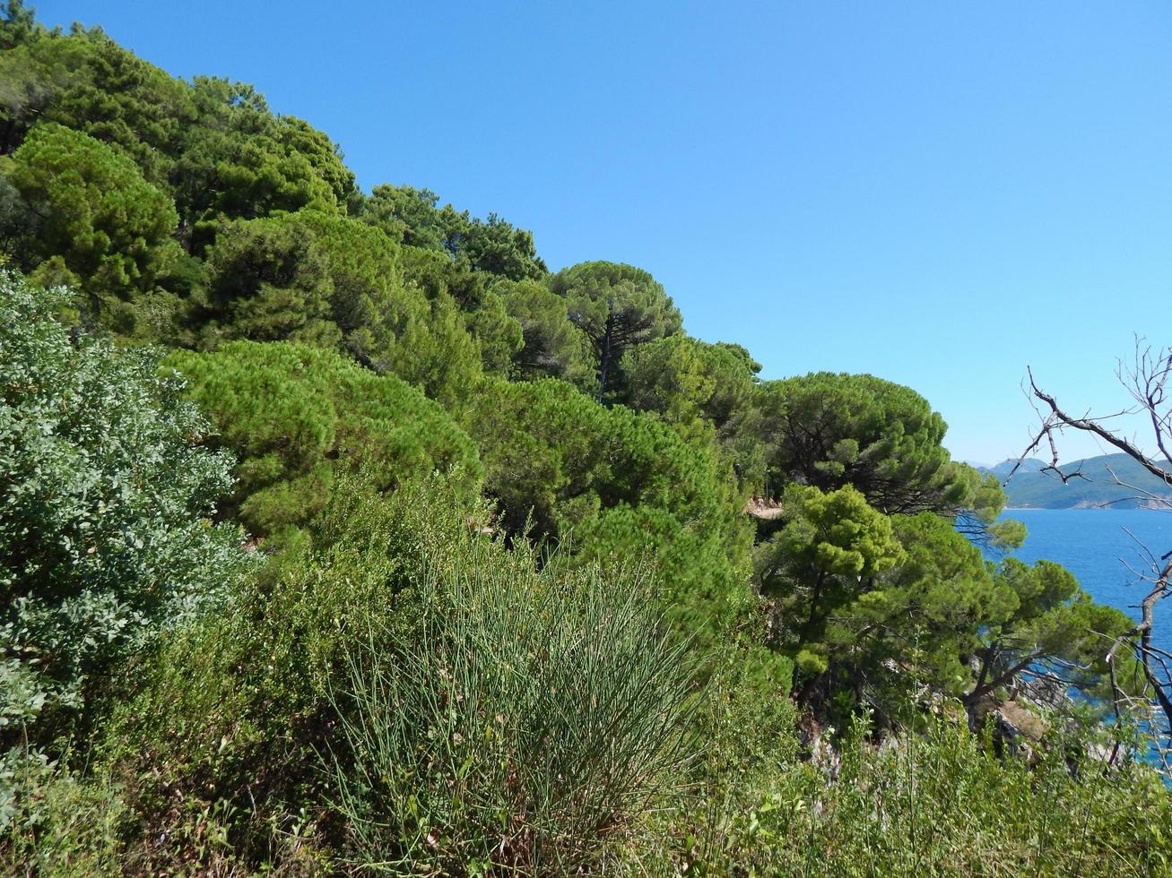 viaggio in montenegro, mare adriatico, paesaggi foto