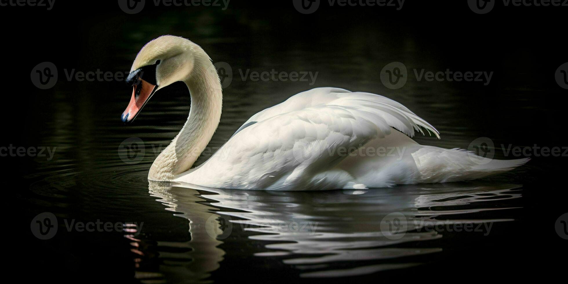 ai generato vicino su di un' bianca cigno con bellissimo occhi. generativo ai foto